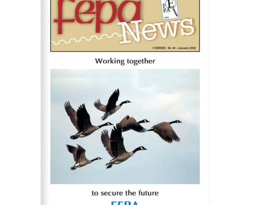 FEPA News 40